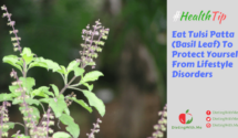 Eat Tulsi Patta (Basil Leaf) To Protect Urself From Lifestyle Disorders