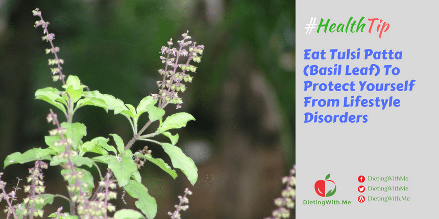 Eat Tulsi Patta (Basil Leaf) To Protect Yourself From Lifestyle Disorders