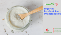 Yogurt Is Excellent Source Of Lactobacillus