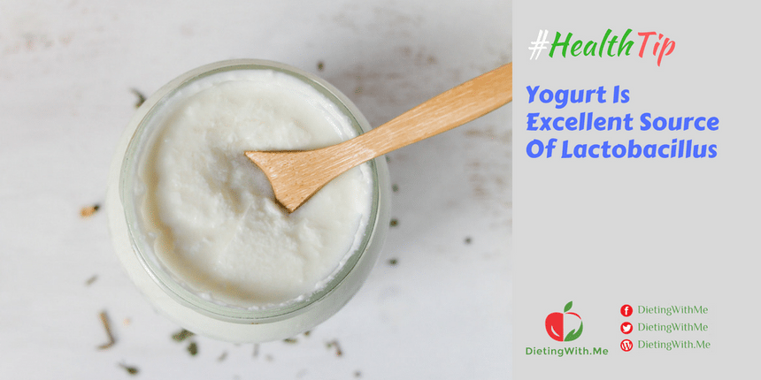 Yogurt Is Excellent Source Of Lactobacillus