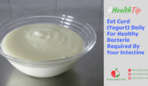 Eat Curd (Yogurt) Daily For Healthy Bacteria Required By Your Intestine