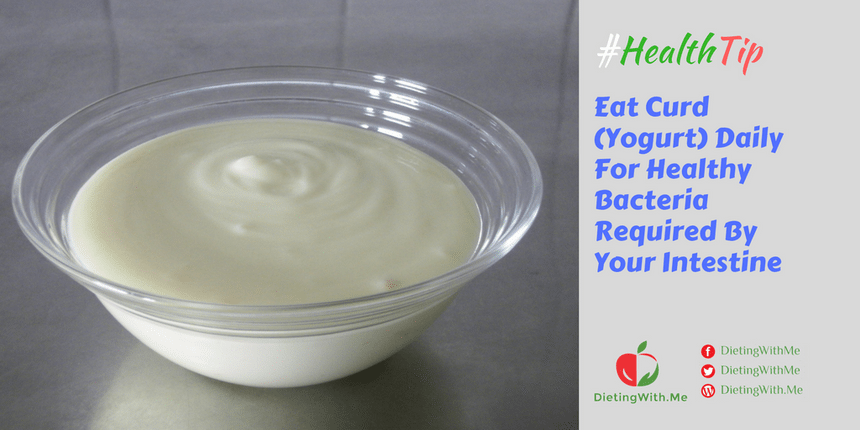 Eat Curd (Yogurt) Daily For Healthy Bacteria Required By Your Intestine