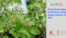 Tulsi Patta (Basil Leaf) Every Day Keeps Cancer At Bay