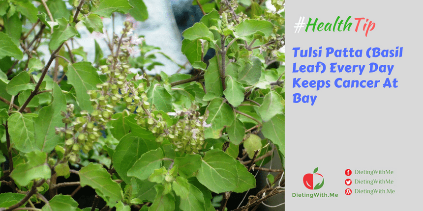 Tulsi Patta (Basil Leaf) Every Day Keeps Cancer At Bay